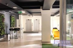 吉林省残疾人精准服务网